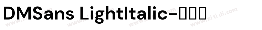 DMSans LightItalic字体转换